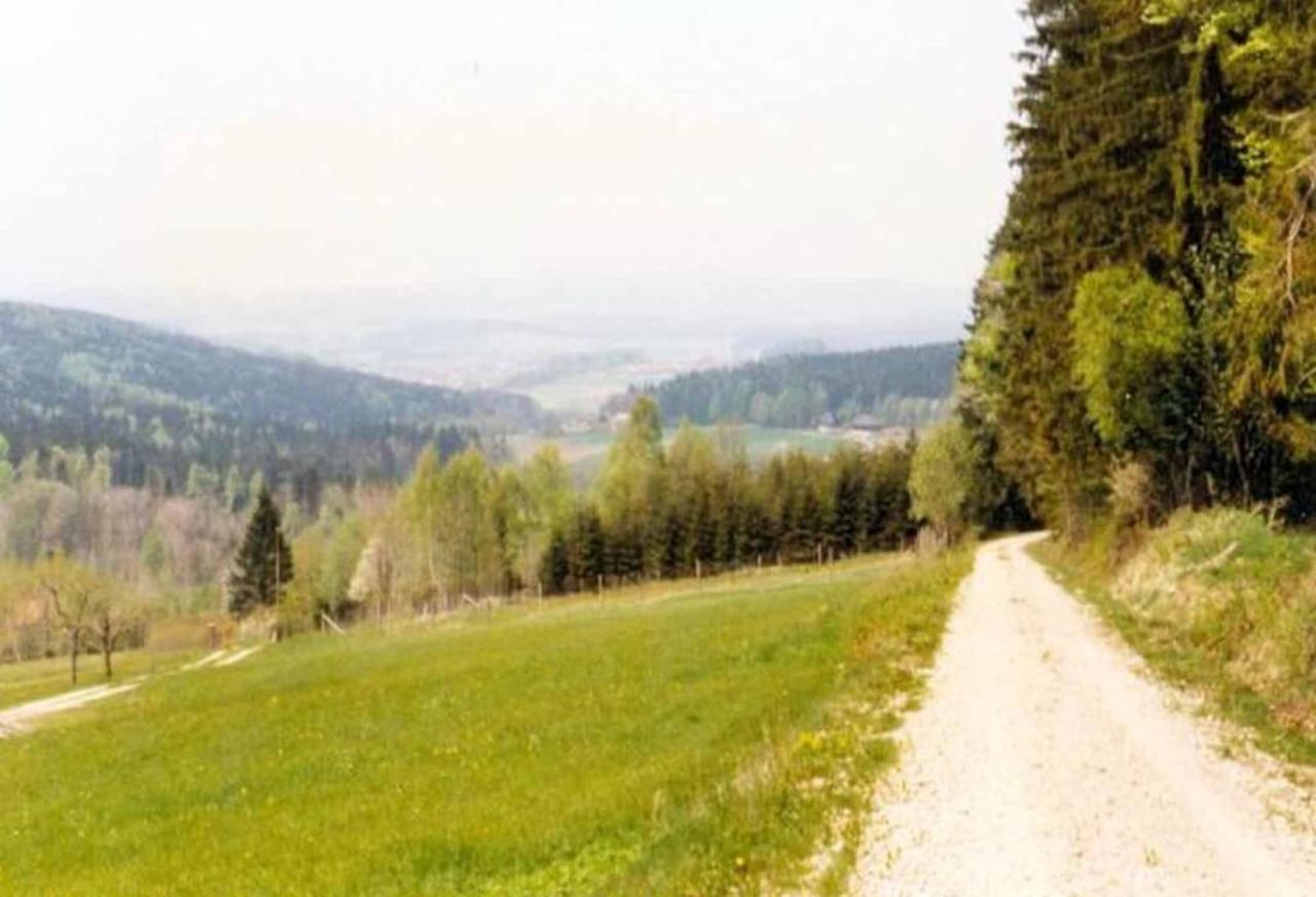 Ferienpension Posthof Waldmünchen Buitenkant foto